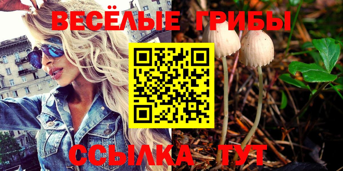 Псилоцибиновые грибы Psilocybine cubensis  дарнет шоп  Вход с VPN  Зеленокумск  Галлюциногенные грибы Cubensis 